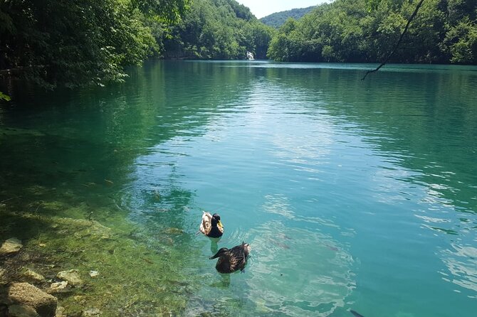 Plitvice Lakes Small Group Tour Ecco from Split or Trogir - Key Points Before You Go