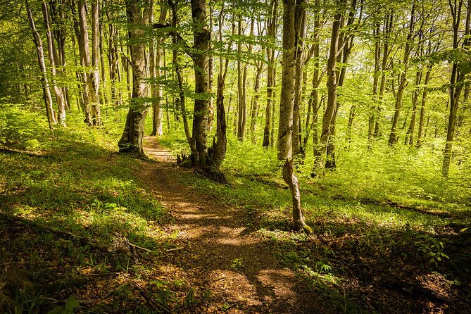 Plitvice Lakes Tour from Split with Entrance Ticket included - Inside Plitvice: Lakes, Waterfalls, and a Panoramic Boat Ride