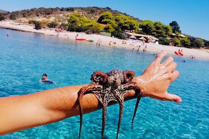 Private Blue Cave Tour from Split, Brač, Trogir and Hvar - Where this tour fits: Split, nearby islands, and a full 10-hour rhythm