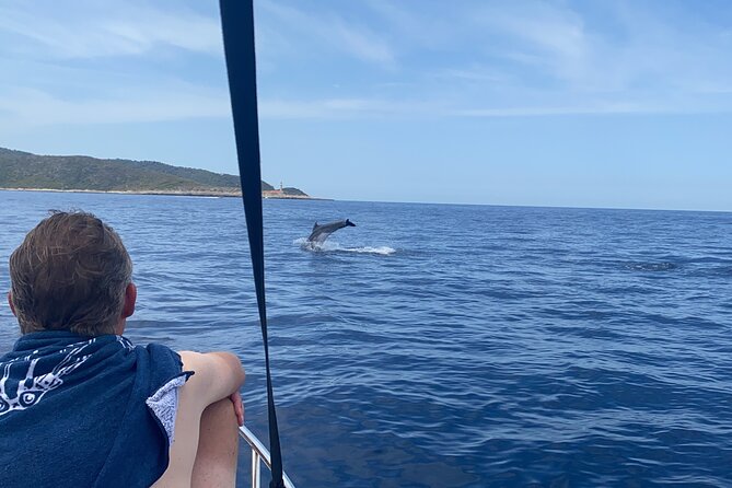 Private boat trip - Hvar Brac and Pakleni islands from Split - Key highlights you will feel right away
