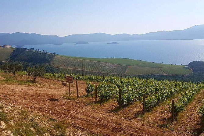 Private Day Trip to Dubrovnik from Split - Weather, Comfort, and How to Prepare Like a Pro