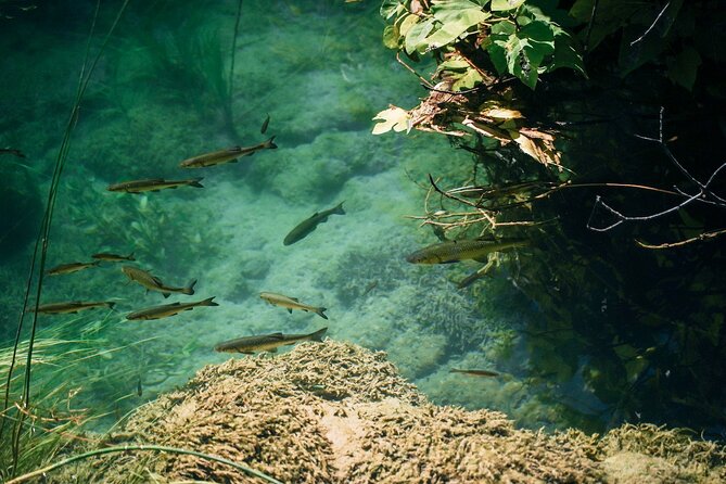 Private Full-Day Krka Waterfalls Tour with Wine Tasting - Skradin, boat arrival, and the sea-meets-river swim break