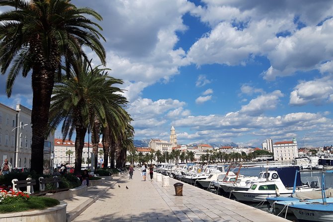 Private Game of Thrones walking tour in Split - The guide’s job: spotting details you would miss