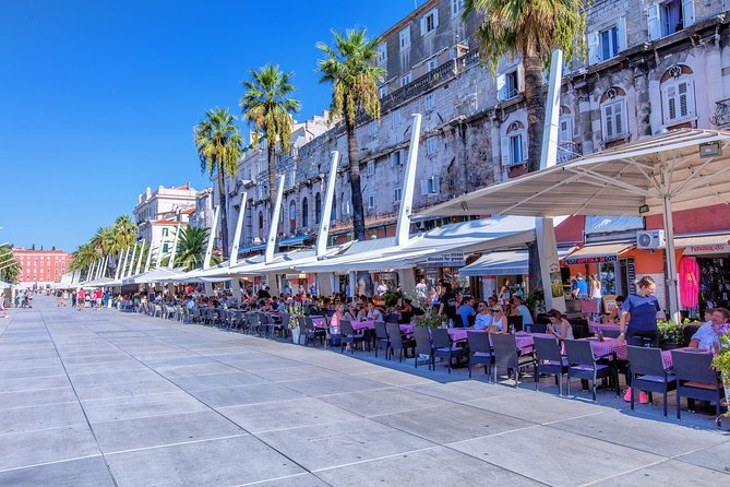 Private Grand Tour of Split - Who should book this private Split heritage tour