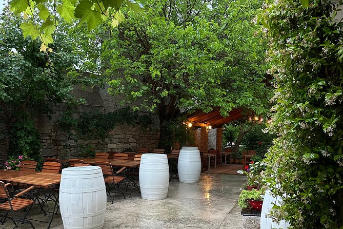 Private tour Krka Waterfalls - Wine & Food tasting - Pickup and Transport: Why the Van Matters in Real Life