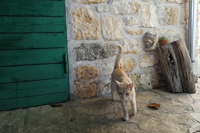 Private tour of Brač island with olive oil tasting - Price and value: what $299.44 per person is buying
