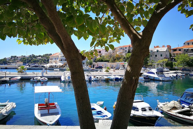 Private tour of Brač island with olive oil tasting - Uja Olive Oil Museum: tasting, learning, and actually eating local