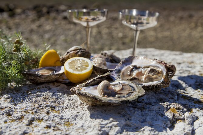 Private Tour of Peljesac Peninsula with Optional Wine Tasting - Milos Winery stop: where optional tastings become the highlight