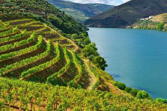 Private Tour of Peljesac Peninsula with Optional Wine Tasting - Peljesac Bridge stop: a modern start with a deep-cuts view