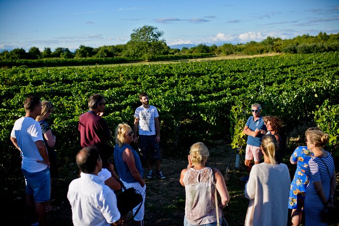 Private Tour Šibenik, Krka Waterfalls & Wine tasting - Small planning tips to make the day smoother