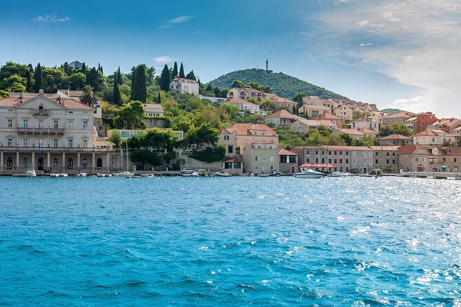 Private transfer from Split to Dubrovnik with 2h sightseeing stop in Ston - Your Driver Experience: Local Insights Without a Full Tour Guide