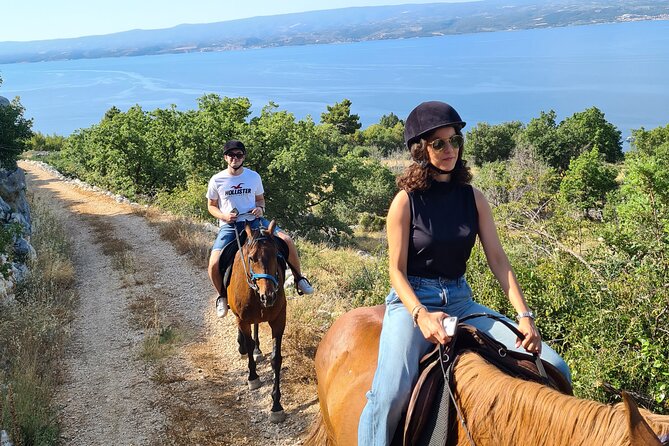 Ranch 22 Podstrana, " Horse riding 12 km from SPLIT " - Key highlights you will actually notice