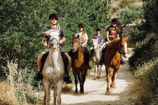 Ranch 22 Podstrana, " Horse riding 12 km from SPLIT " - Who should book, and who should think twice