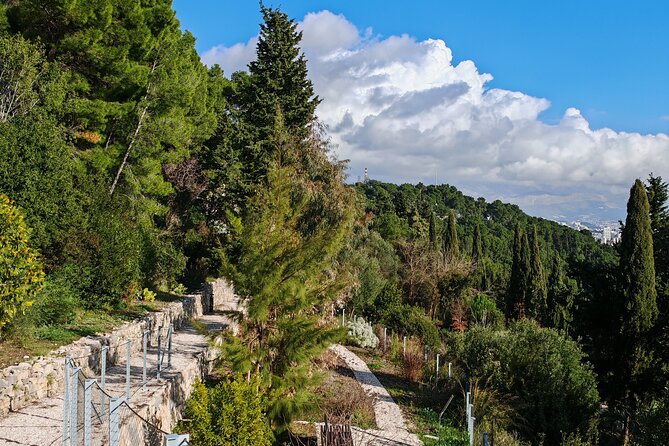 Secret Marjan Park Hiking Tour in Split - Where You Begin: Riva Energy, Then a Quick Turn Into Old Split