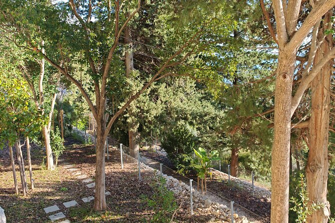 Secret Marjan Park Hiking Tour in Split - The Practical Stuff: What to Bring, What Not to Bring