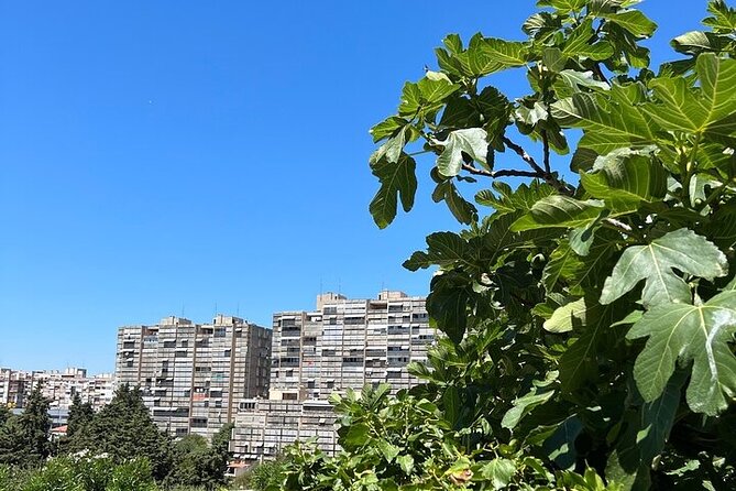 Secret Split: Socialist Architecture & brutalism - Urban Utopia - Why Split 3 feels like an urban experiment, not a sightseeing detour