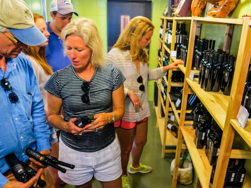 Šolta Island from Split: 5-Hour Olive Oil Tour with Lunch - Lunch and olive oil pairing, how the flavors actually work together