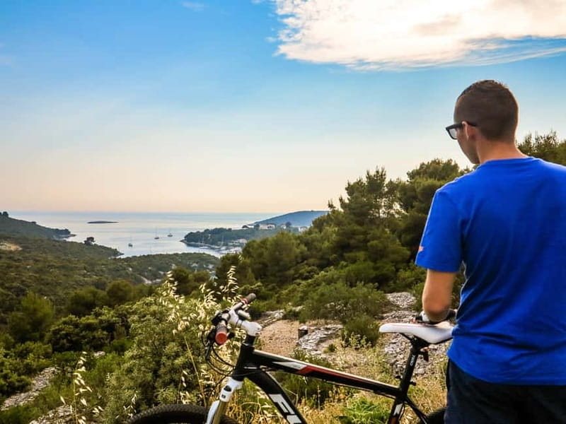 Šolta Island: Self-Guided Bike Tour - Local hosts, olive oil moments, and the food you’ll actually remember