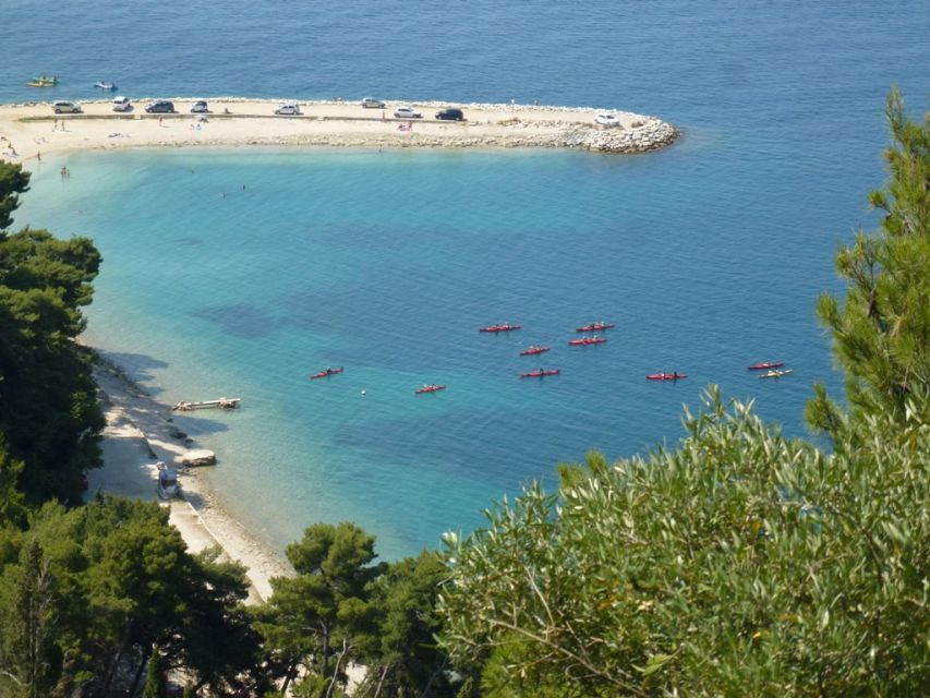 Split 4-Hour Guided Sea Kayak Tour - Price and value: why $59 feels fair for a guided sea kayak