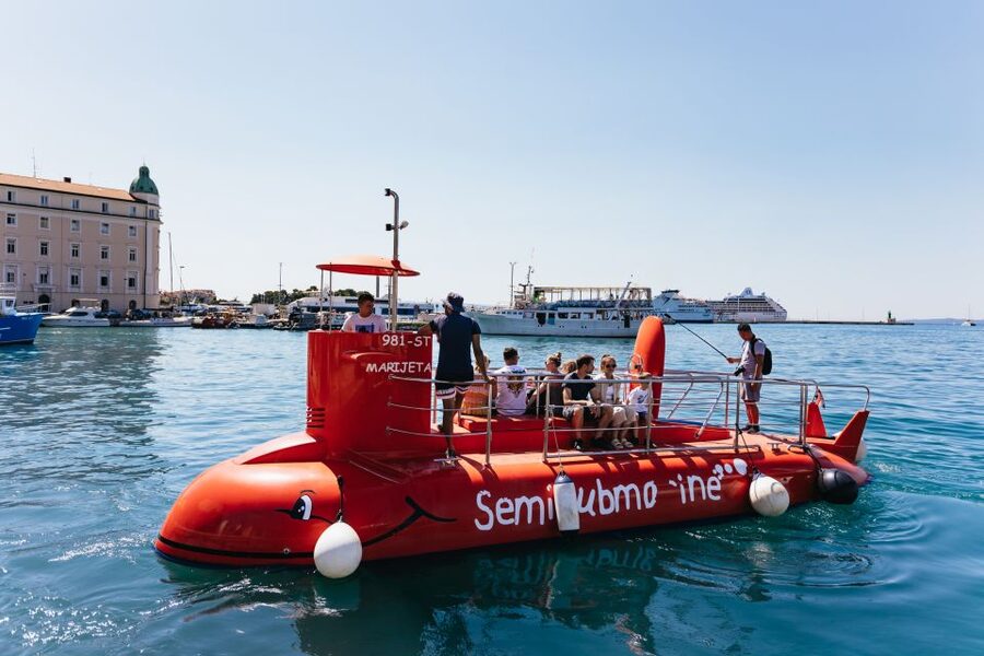 Split: 45-minute Semi-Submarine Trip - Wildlife viewing time: what to focus on (and what not to stress)