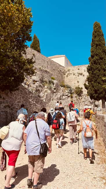 Split: 48-Hour Sightseeing Bus Pass - Price and Optional Entrance Fees: What You’ll Actually Spend