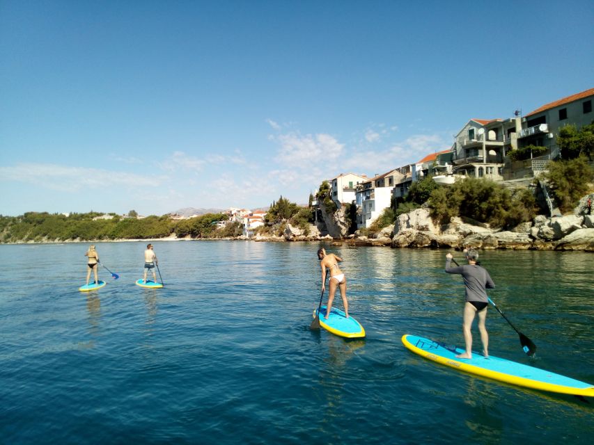 Split: Adriatic Sea and River Stand-Up Paddleboard Tour - Snorkeling on a clear day: fish spotting and Periska shells