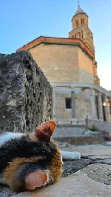 Split and Diocletian's Palace walking tour with a local guid - Entering the UNESCO Roman Palace, What You’ll See on the Walk