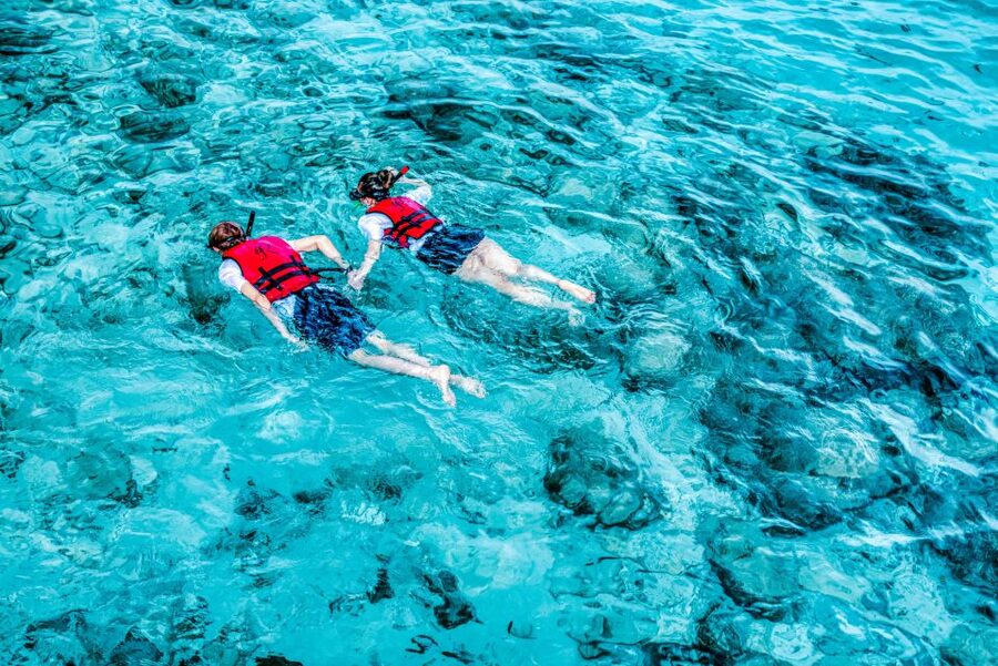 Split: Blue Lagoon, 3 Islands, and Wine Tasting Private Tour - Price and value: $883 per group up to 6
