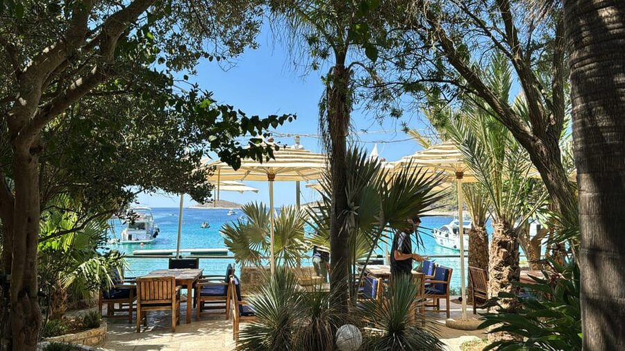 Split: Blue Lagoon, Hvar and 6 Islands Small Group Boat Tour - Stop 3: Pakleni Islands swim and snorkel, the photo and reef combo