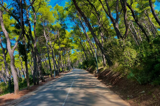 Split by Private Electric Rickshaw - Palace & Hidden Gems - Marjan Park and beaches: viewpoints, art stops, and sea breaks