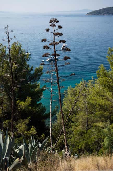 Split: City Sightseeing Panoramic Bus Tour - Green Line eco-tour: Ethno-village, olive oil stops, and Klis Fortress views