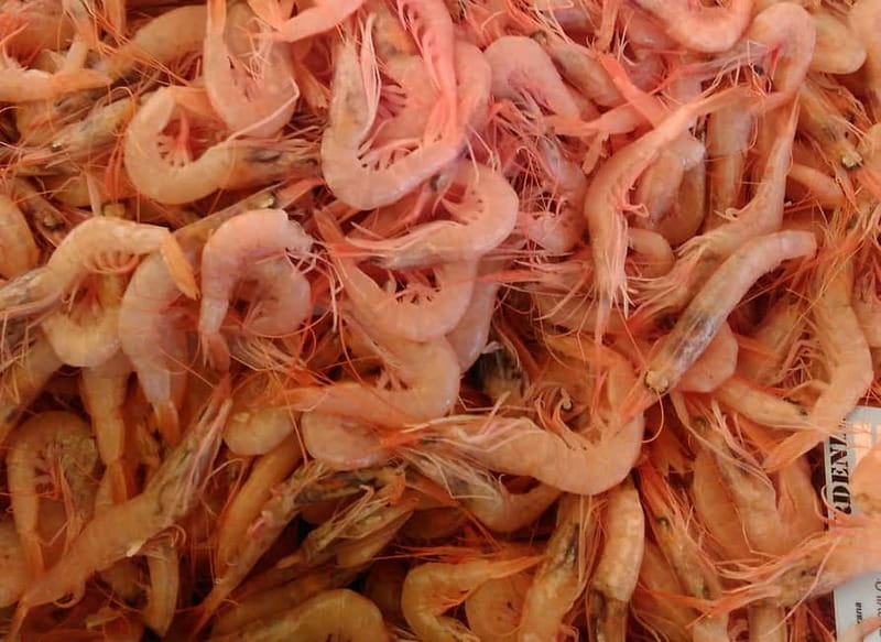Split: Food Tasting Walking Tour - Green Market mornings: arancini and sugared nuts