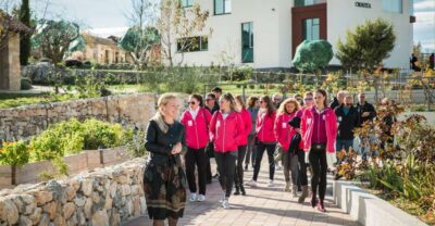 Green Line with Open Bus to Klis & Olive Museum