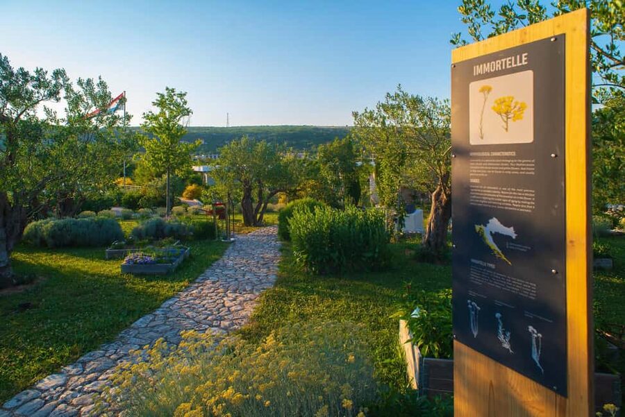 Split: Olive museum Klis with Olive Oil Tasting - Key highlights you should not miss