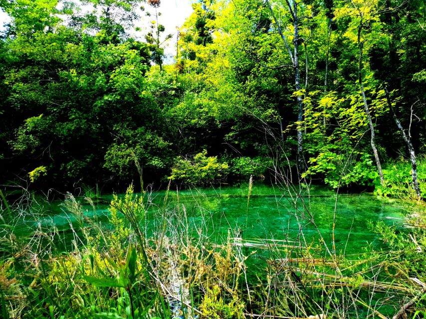 Split: Plitvice Lakes Guided Day Tour with Entry Tickets - Guide Energy, Group Pace, and the Stops That Keep You on Track