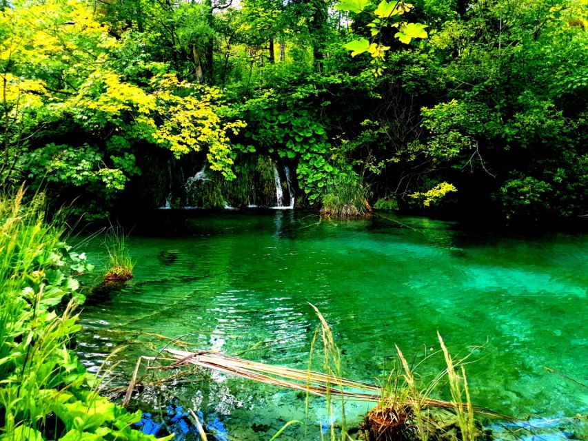 Split: Plitvice Lakes Guided Day Tour with Entry Tickets - Who Should Book This Tour, and Who Might Be Happier Elsewhere
