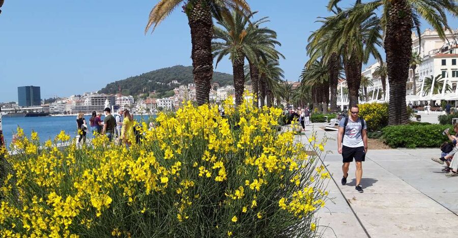 SPLIT:PREMIUM Emperor's Walking Tour for History Lovers - Should you book the Split Emperor’s Walking Tour?
