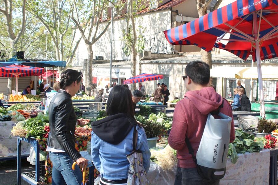 Split: Private Food Tasting Tour - Drinks and pairing: local wines and olive oil at the right moment