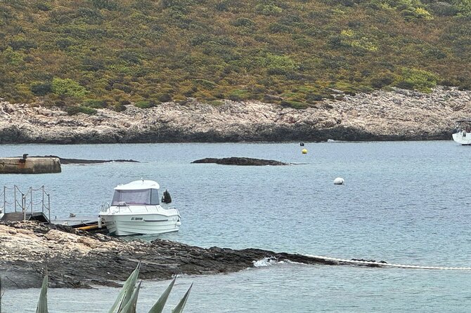 Split: Private Speedboat Charter & All inclusive - Snorkeling Gear, Lifejackets, and How to Get the Best Swim Stops