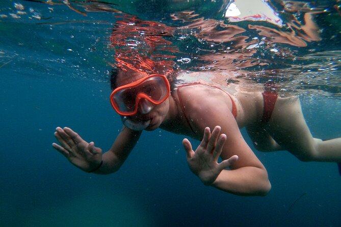Split Sea Kayaking & Snorkeling Tour - Cliff jumping and rock leaps: only if it fits your comfort level