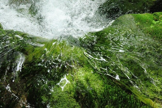 Split to Zagreb or airport Zagreb via Plitvice lakes for singles or couples - How to spend your four hours so you do not feel rushed