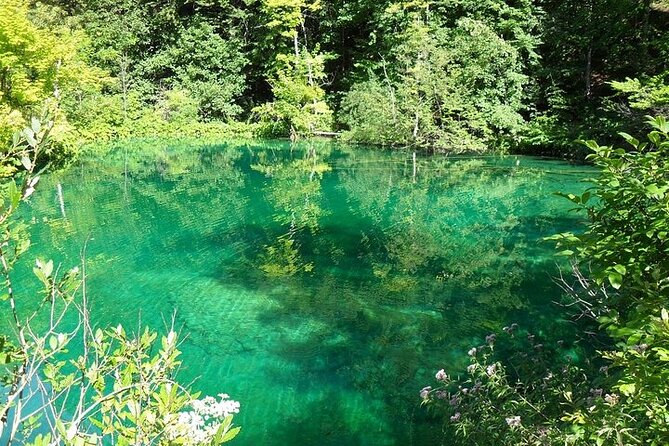 Split to Zagreb or airport Zagreb via Plitvice lakes for singles or couples - The practical details that can affect your day