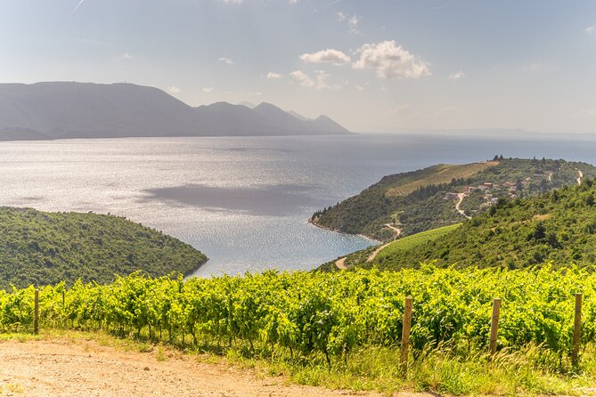 Transfer Split to Dubrovnik with Sightseeing in Ston Town - Value check: what you get for the $305.74 per person