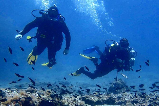 Try Scuba Diving in Split - Key highlights worth planning for