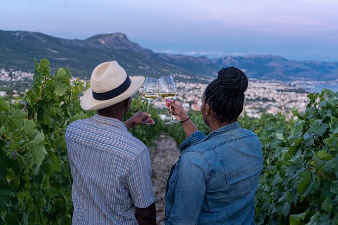 Vineyard Experience: Wine Tasting near Split - Key highlights to know before you go