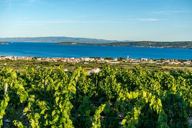 Vineyard Experience: Wine Tasting near Split - Kastel Novi stop: coastal sights and your first taste vibe