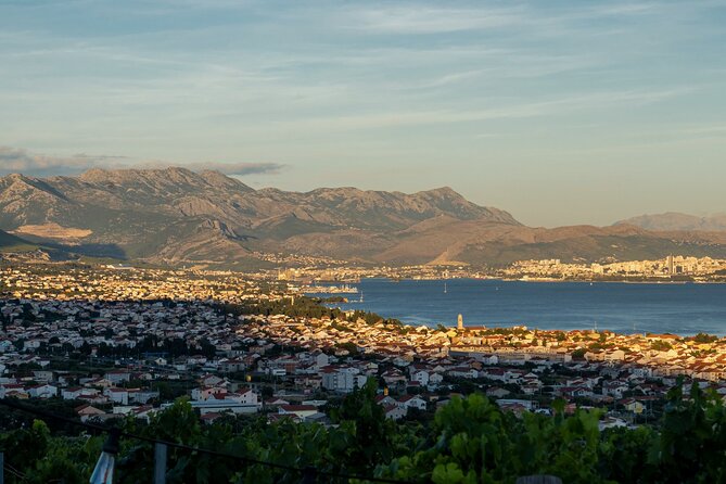 Vineyard Experience: Wine Tasting near Split - The five-wine pairing with Dalmatian cheese and prosciutto