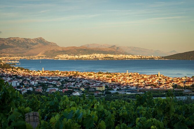 Vineyard Wine Tasting Experience with a Sea view from Split - Timing, Group Size, and Who This Tour Fits Best