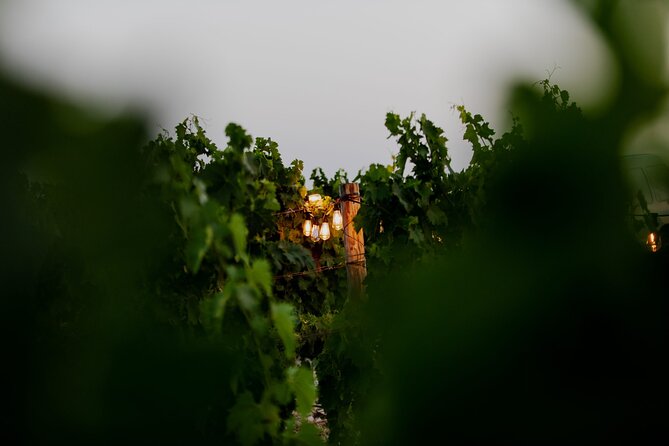 VIP Private Split/Trogir: Chef-Prepared Meal With Wine, Sea View - A 5-hour Split and Trogir day with a sea-view payoff