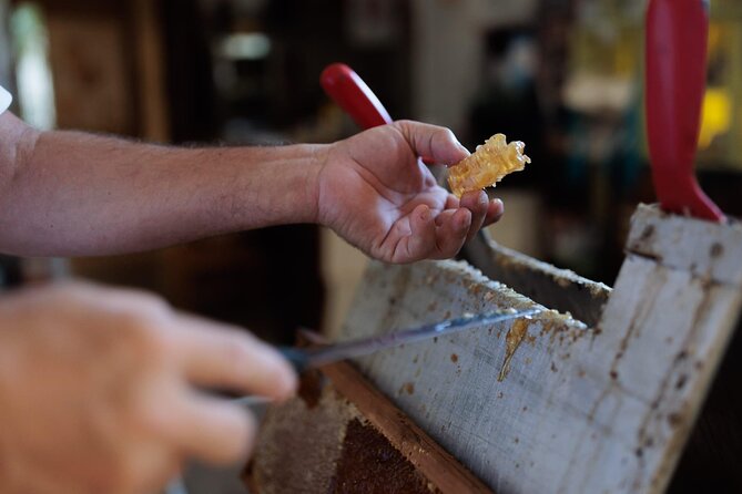 Wine, Honey & Olive Oil of Solta Island - Tasting Tour - Tvrdic Honey in Grohote with beekeeper Goran